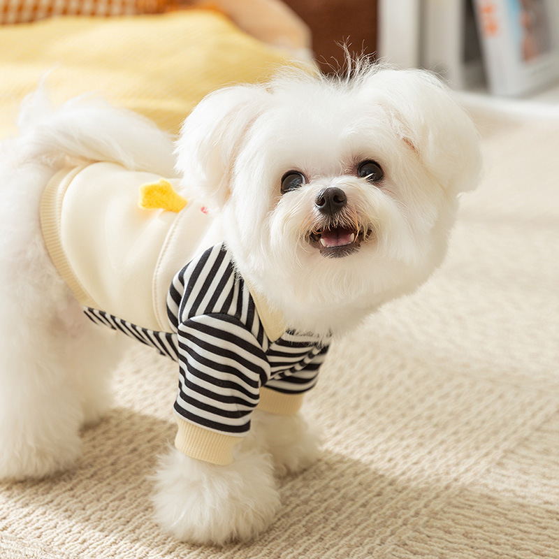 24 años simple lindos cinturones de vestir de dos patas de vestir de caída mascotas perros ropa de moda al por mayor