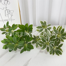 �ٻ��Gֲ�����b���ֲ�����_ľ����ľ����ֲ�����~�������~