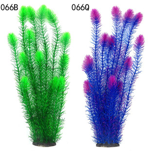 Guangzhou aquatic plants factory height 60cm soft cross Jianglong multi-color large fish tank landscape simulation aquatic plants