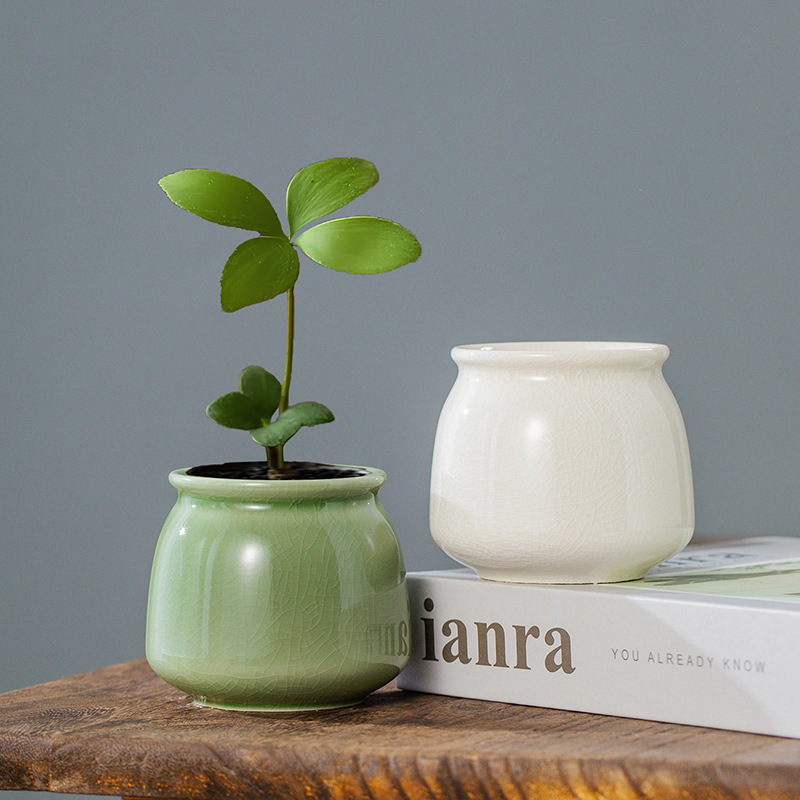 Ceramic kiln open ceramic hydroponic small flowerpot non-porous flower bowl green plant container small fresh desktop flower wholesale