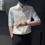 印花七分袖翻领男士衬衣