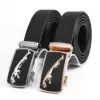 30 gold and silver leopard iron deduction