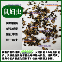 ��D��ș500g��ș����D�x�e�����x�ӈF���x��ʭ�ŵ�ʭ�������x