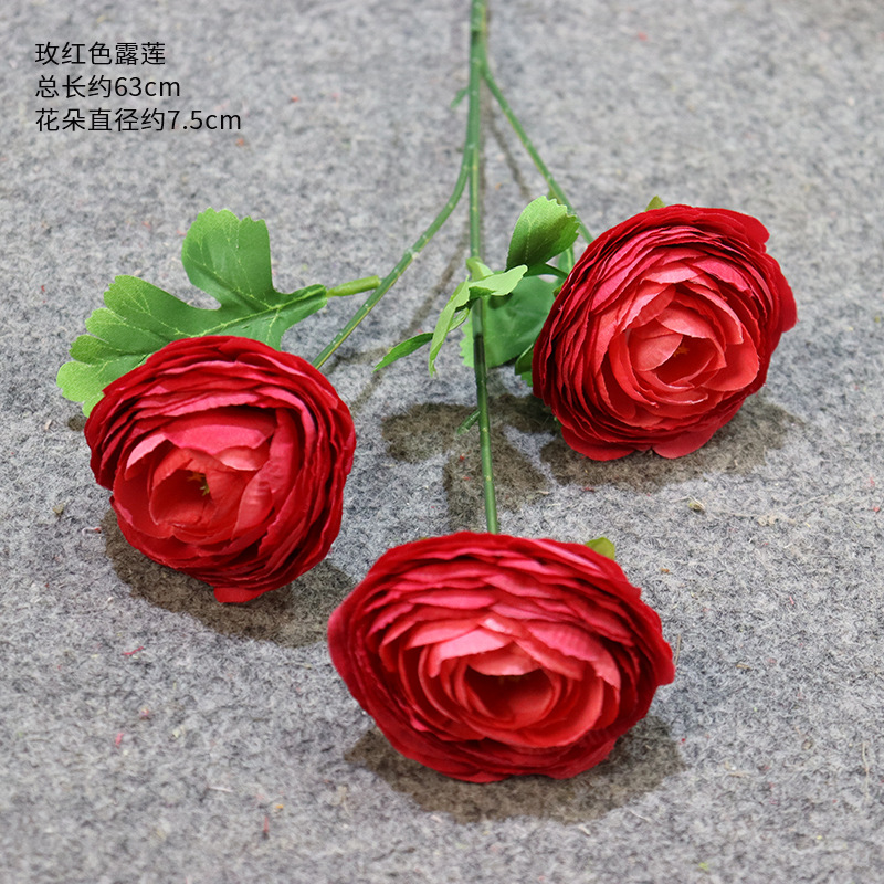 Una rama de loto rojo rosa