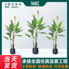 跨境北欧风仿真绿植假植物盆栽摆件室内客厅落地橱窗装饰天堂鸟