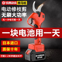 ���R��늄Ӽ����������޼���֦�����늈@ˇ������֦����늼���