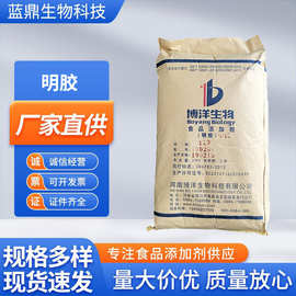 博洋明胶食品级皮冻软糖120~250高冻力凝固剂批发现货食用明胶粉
