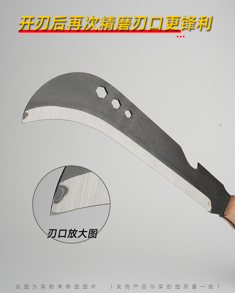 未标题-1_06.jpg