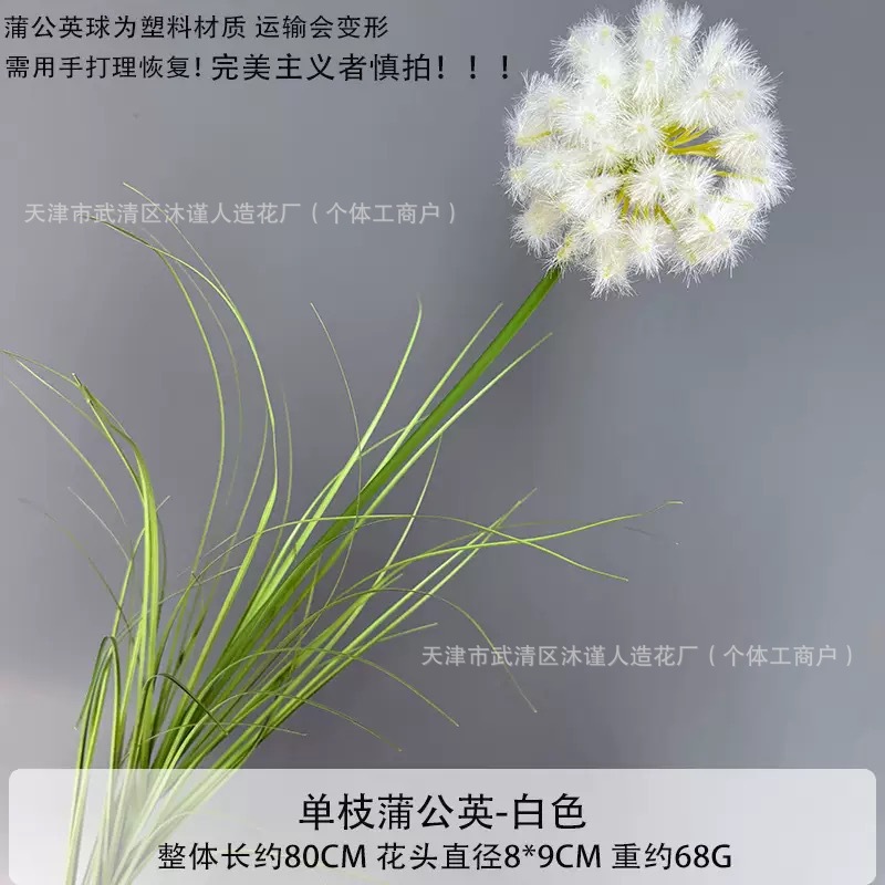 민들레