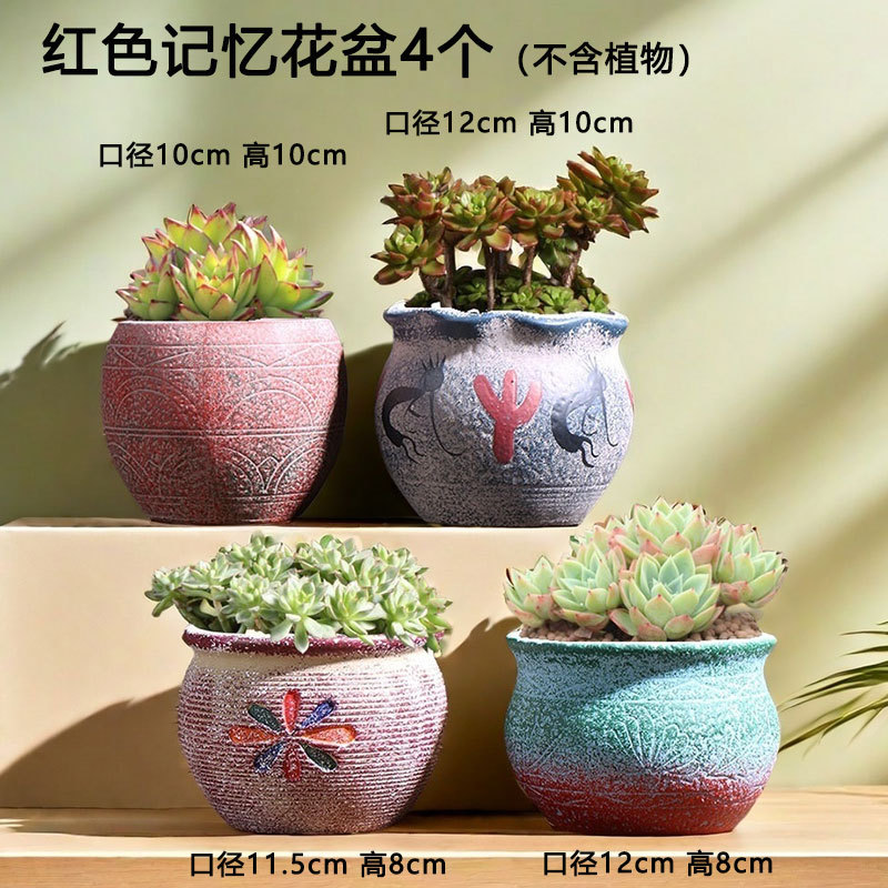 No. 36 Maceta mediana mediterránea suculentas Venta directa de fábrica Cerámica de carne Lavabo especial de cerámica roja retro Liquidación al por mayor