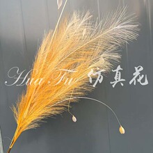 7���JȔ��ë�����JȔ�����쾰��c�̈�����������������b�Ʒ