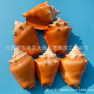 �t��ȭ�P���� ��Ȼ����ؐ���~��ˮ���쾰�b�ˇƷ�[�� �S�����l