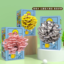 蘑菇盒子礼盒平菇种植包食用菌幼儿园娃娃绿植养殖盒装袋装
