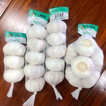 出口埃及大蒜250g小包装金乡源头厂家鲜蒜可商检红蒜5.0cm