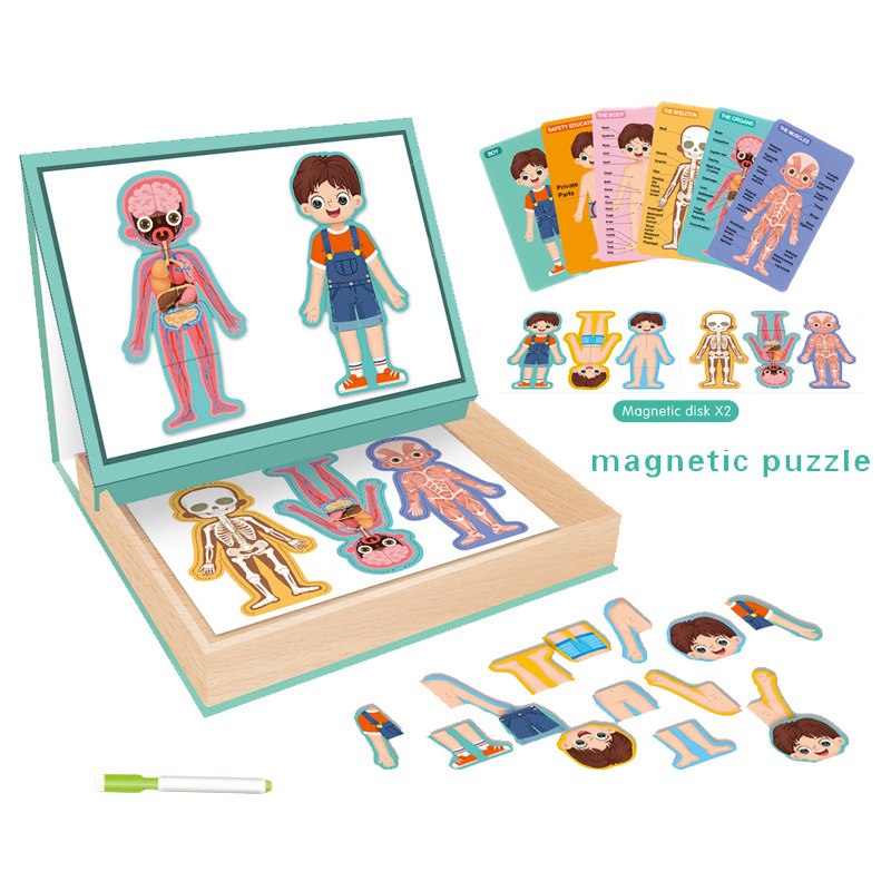 Niños Qizhi órgano del cuerpo plano de succión magnética rompecabezas niño combinación de la estructura del cuerpo rompecabezas magnético libro de graffiti