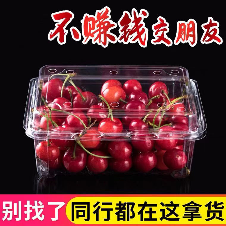 Whole Box of Disposable Fruit Packaging Boxes Wholesale Fresh Food Preservation Boxes with Lids Transparent Plastic Boxes for Takeout Whole Box of Disposable Fruit Packaging Boxes Wholesale Fresh Food Preservation Boxes with Lids Transparent Plastic Boxes for Takeout