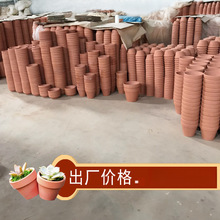 �t�ն���ֲ���մɻ���������������Gֲ�������ԽM�����b���l