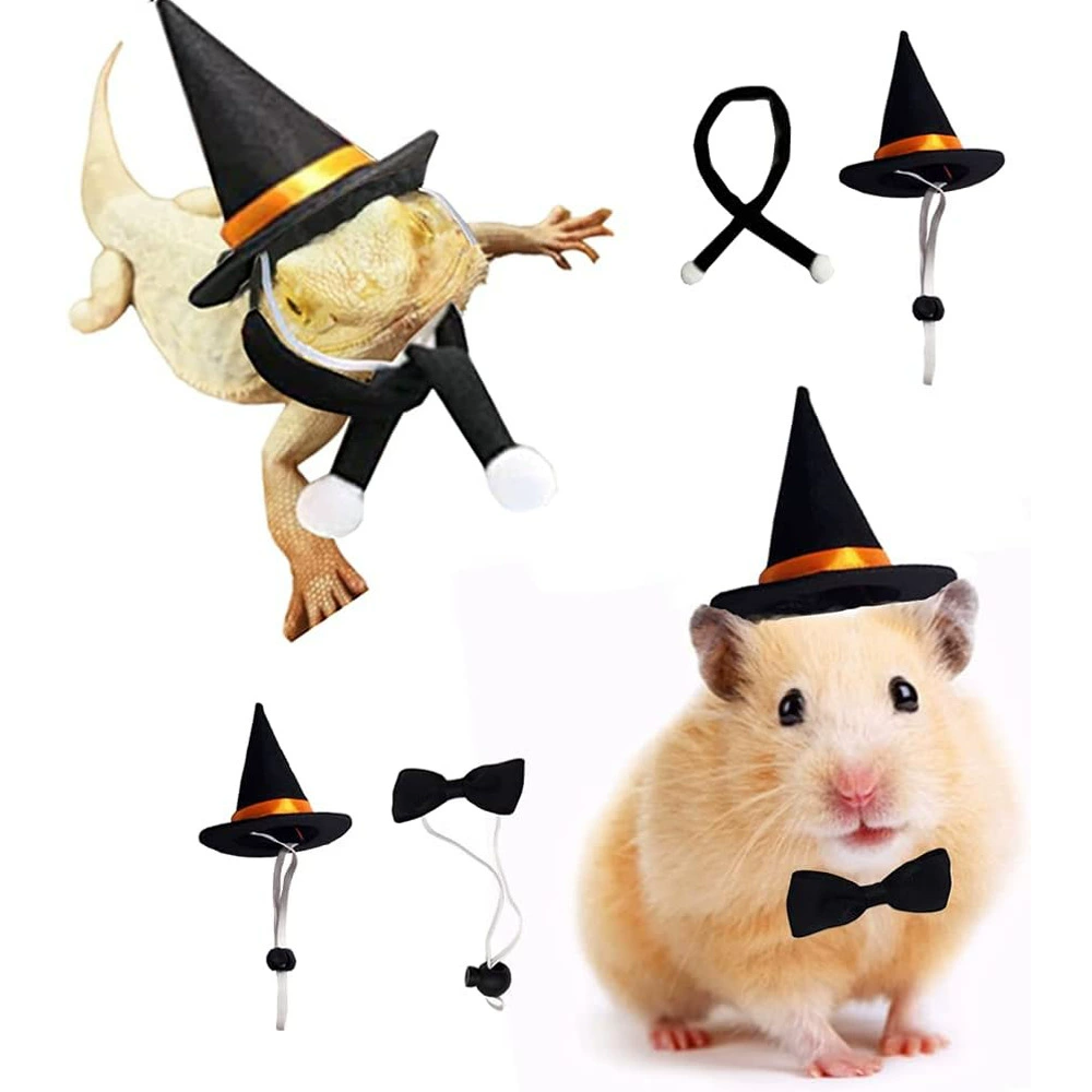 Трансграничный Хэллоуин Кролик Маленькие животные одеваются, одеваются, домашние шапки, черный шарф-бабочка, волшебная шляпа волшебника