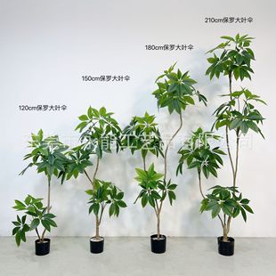 ����ֲ�ﱣ�_���~������ �͏d�Ҿ��쾰�٘���~����ؔ[���b