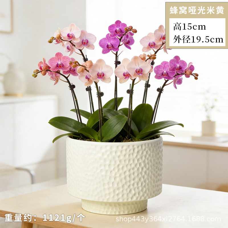 Cerámica orquídea mariposa maceta especial ins crema viento alto sentido decoración del hogar verde cerámica maceta grande image 18
