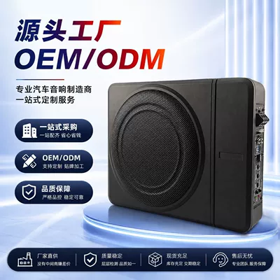 Active Under-Seat Heavy Bass | Car speaker/subwoofer