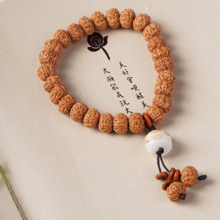 С���������ִ�DIYС�������ܭhҎ��1.0��Ůͬ��������朏S�����l