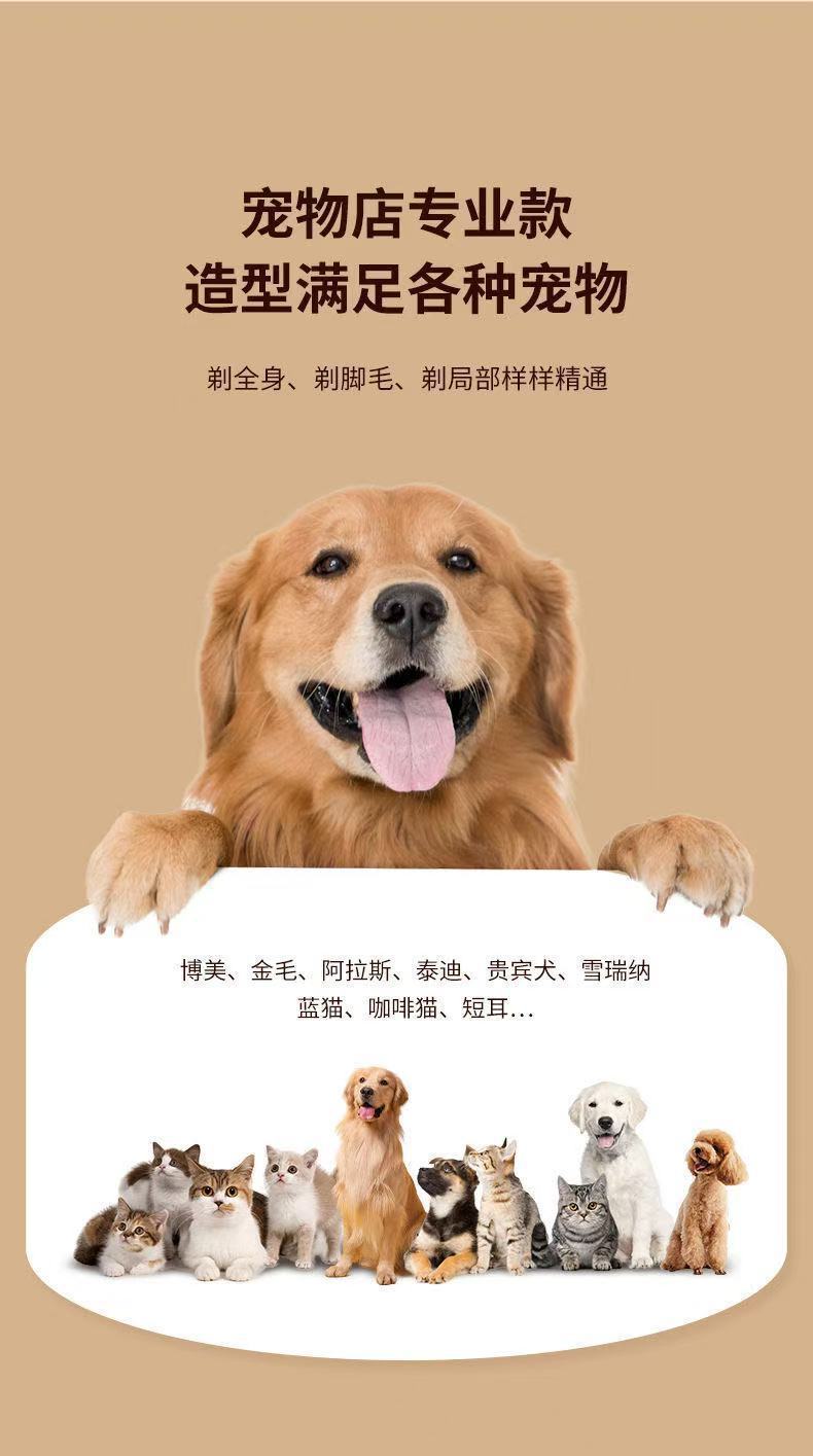 7ad947b8-b518-41bc-a627-ab359d66dfa7.jpe