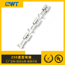 乾威ST2508612-45C双管6.3插簧250直型母端 250端子