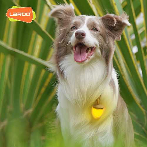 LaRoo versatile hazelnut accessories with pets for night walking, luminous pendant, dog anti-lost LED collar supplies