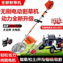 �oˢ����늙C��ݙC48v60V��늄�܇��������һ�w��ݙC�����ݙC