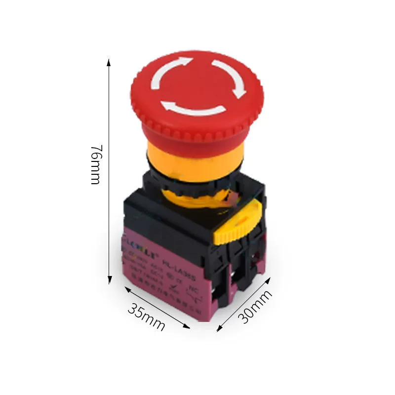Switch key with clove mushrooms, button, 38, 22mm, switch box