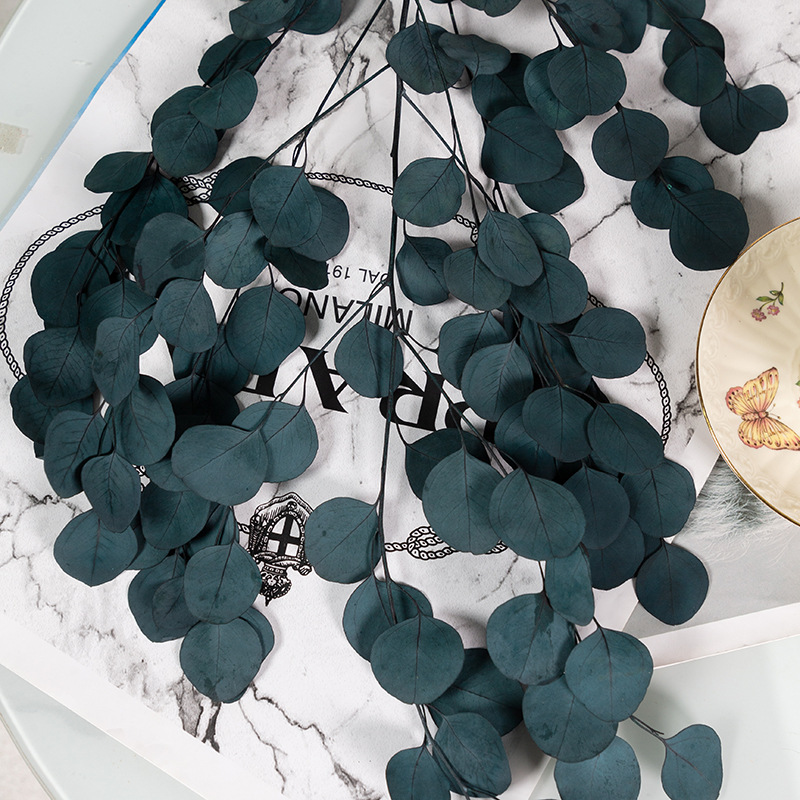 애플 리프 블루 100g