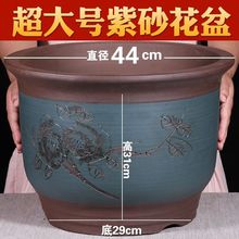大口径紫砂花盆发财树口径种树大号花盆婕琦印字黄色六方大号