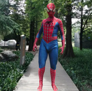 Halloween Costume Remy Toby Cosplay Diffuse Edition Tony Hero Spider-Man Lycra Stretch 3D Digital Print