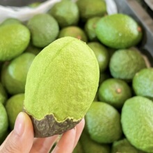 ����˹ţ�͹���ţ�͹��������rˮ���{��ţ�͹�5/6ö�bW���]��