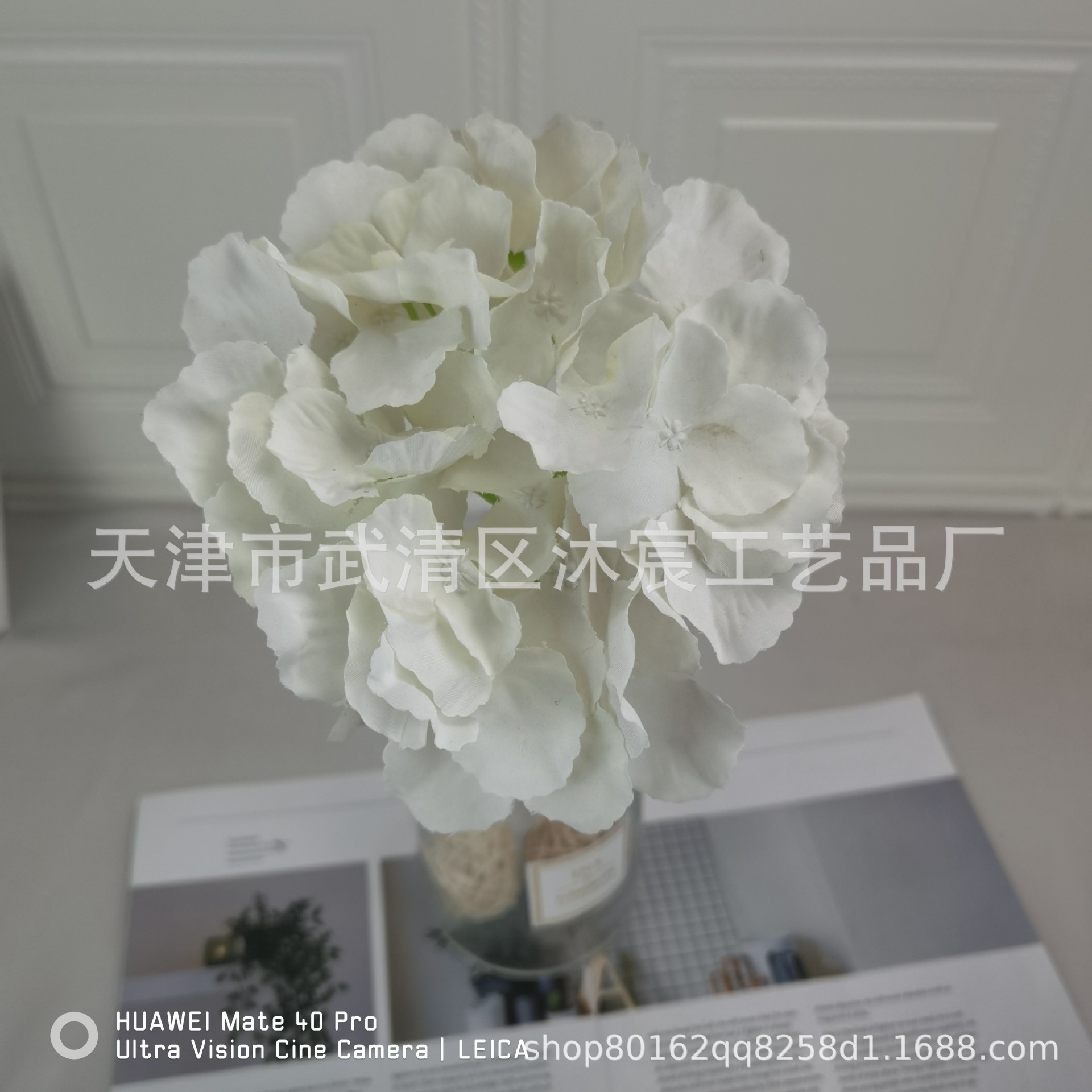Blanc