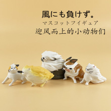 �ձ�ӭ�L���ϵĄ�����kä�й��в�ݔ�L�ɐ�С؈��ģ�͔[�����