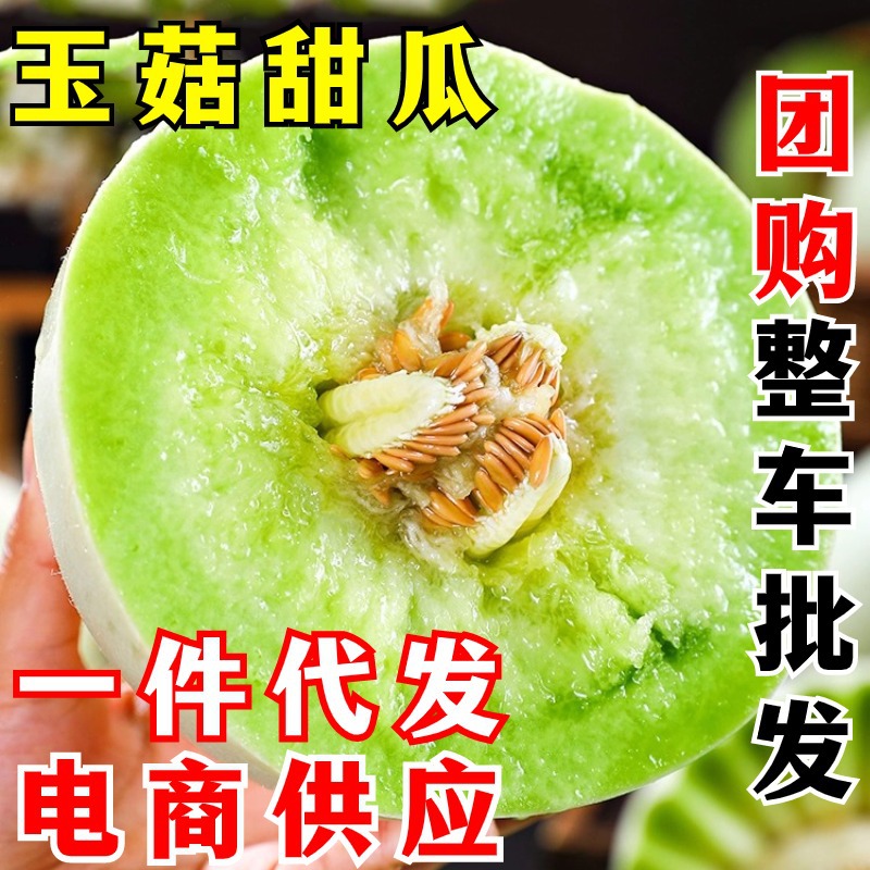 玉菇甜瓜新鲜水果 一件代发 当季正宗头茬冰淇淋蜜瓜香瓜整箱密瓜