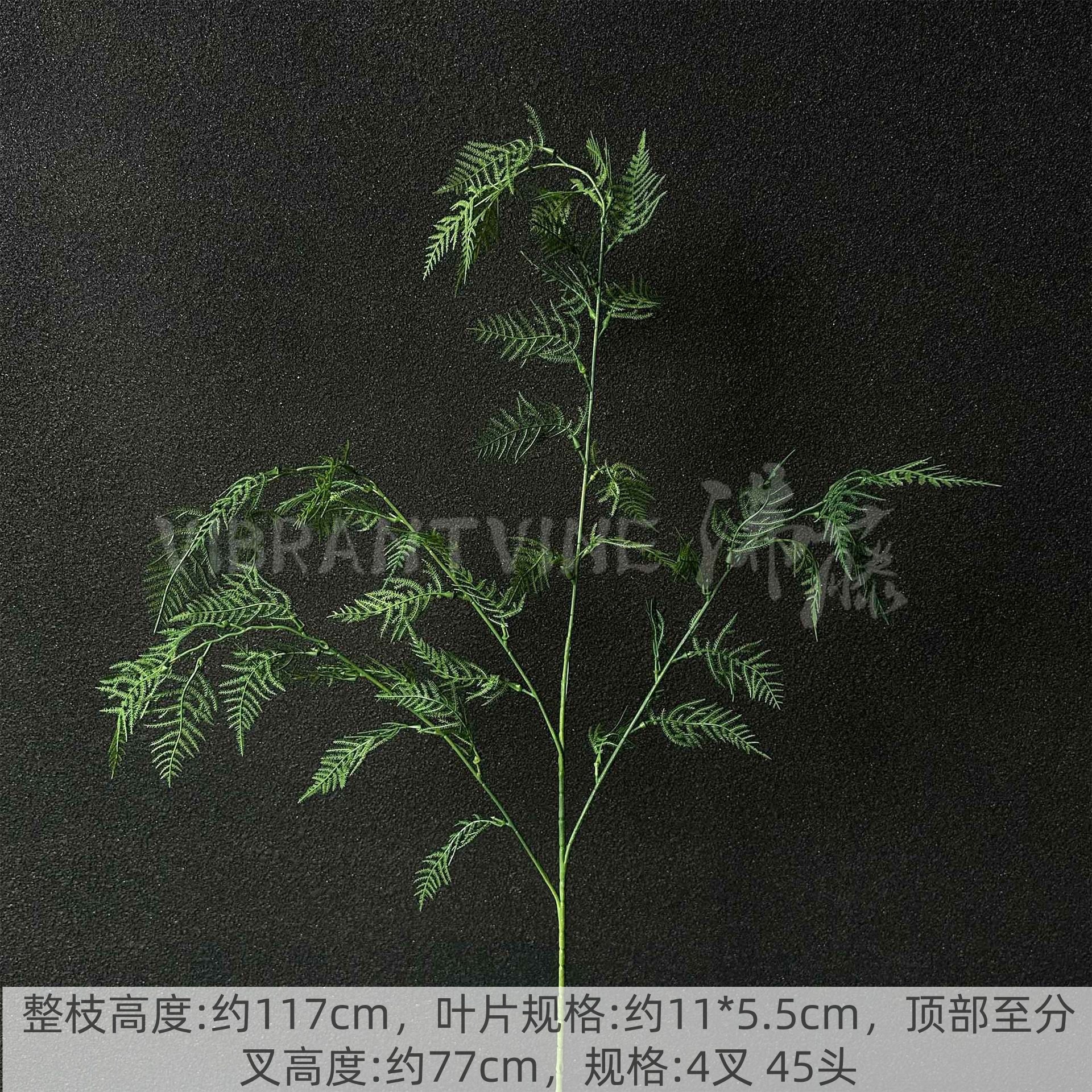 녹색 봉미죽