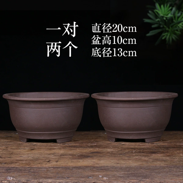 [宝蓝色 富贵光板20cm+20♢]