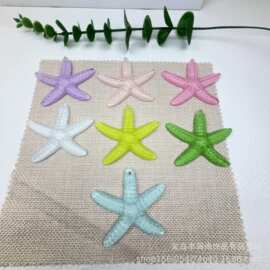 树脂夜光海星 海景配件 微景观DIY平面摆件 冰箱贴洞洞鞋装饰材料