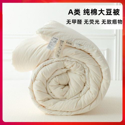 Pure cotton quilt soybean quilt thickened warm core winter wholesale spring and autumn quilt four seasons gift quilt summer quilt air conditioning quilt