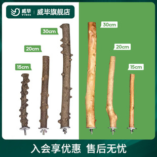 ����ľվ�U�W�^�˸箋ü�Bվ��վ��ĥצ�����B�\����B����Ʒ���