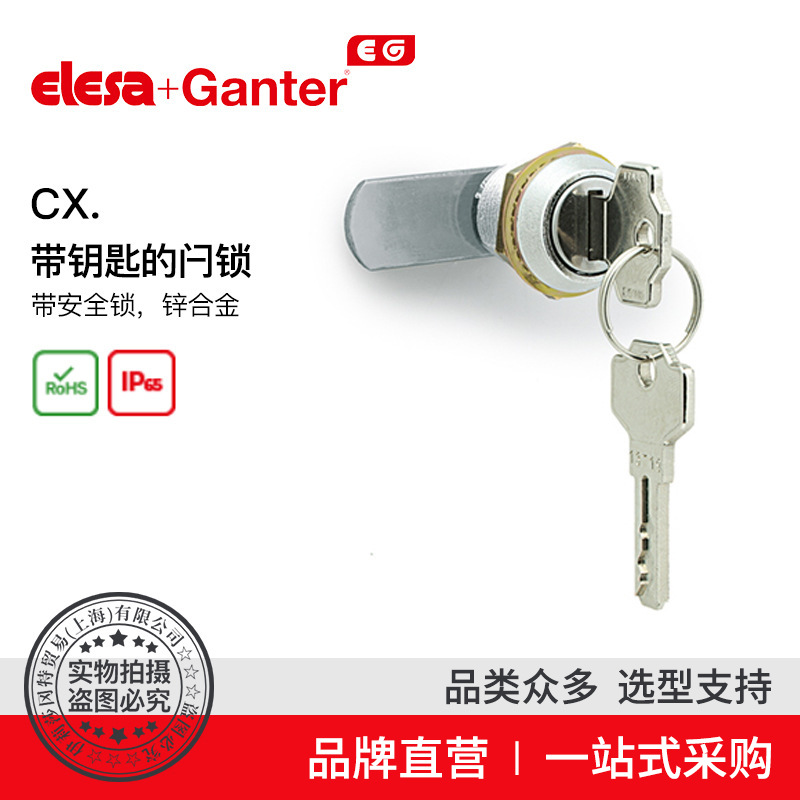 Elesa Ganter伊莉莎冈特 CX. 带钥匙的闩锁 带安全锁 锌合金