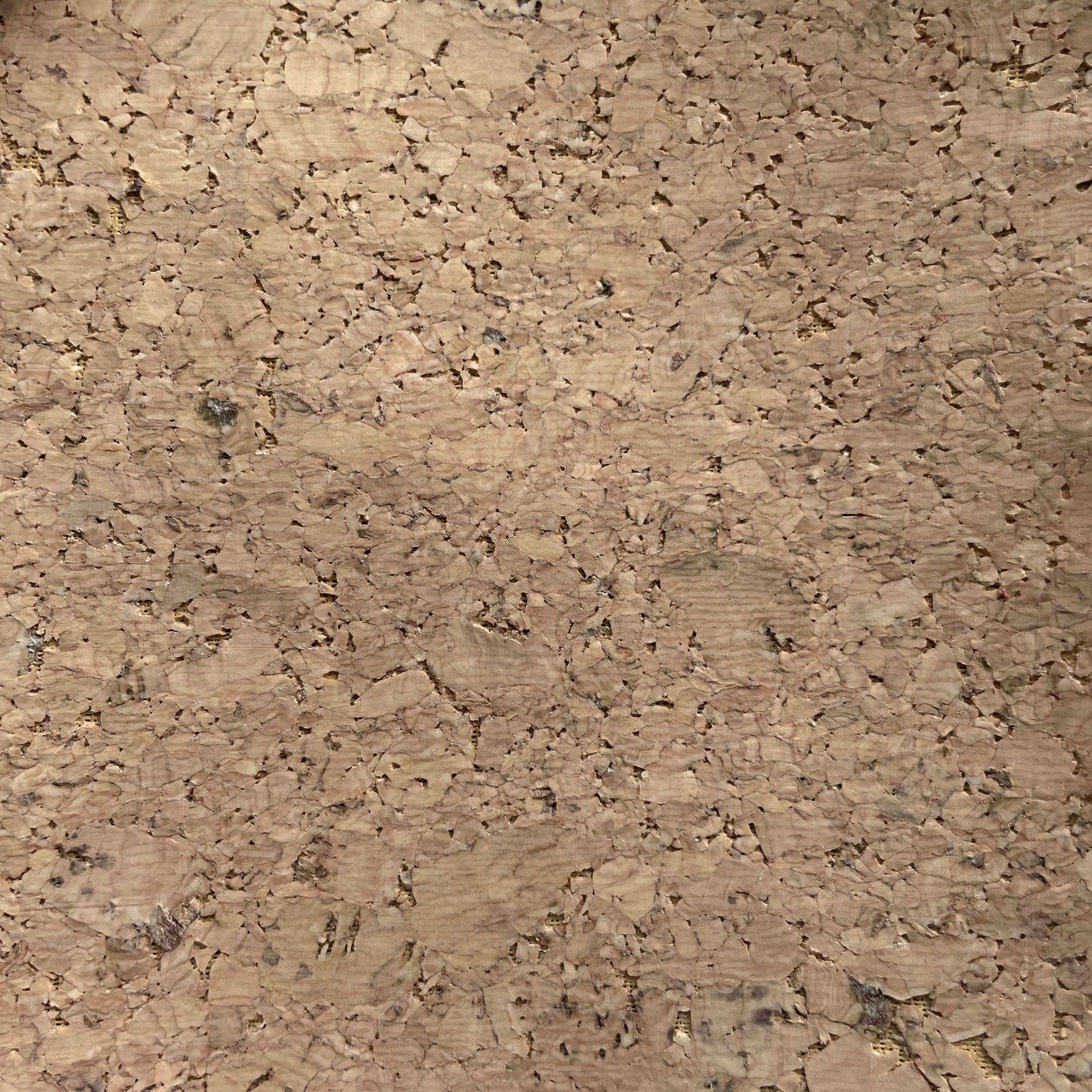 White rock khaki