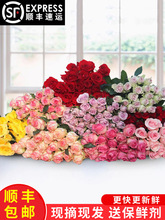 õ廨rֱlrlٺrлտƿ廨