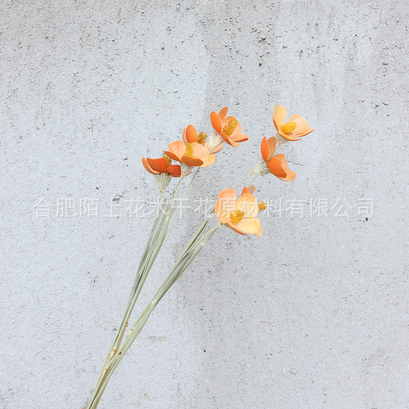 오렌지(12개들이 1다발)