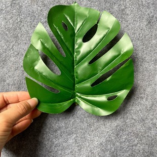 ����Gֲ�z�~Ƭ�����~�Gֲ����~�Ӵ������~Ƭ���l