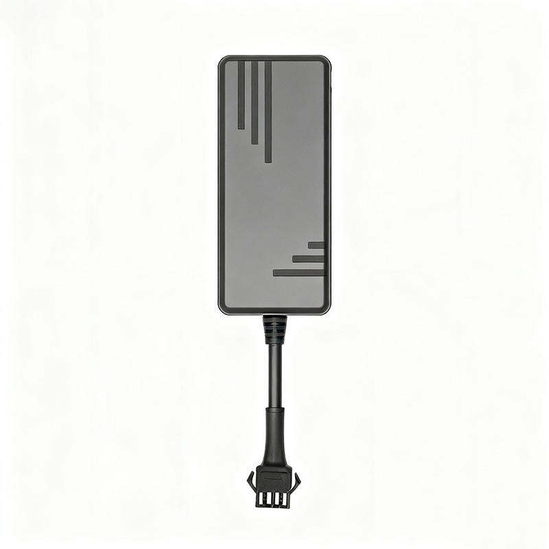 4G 글로벌 버전