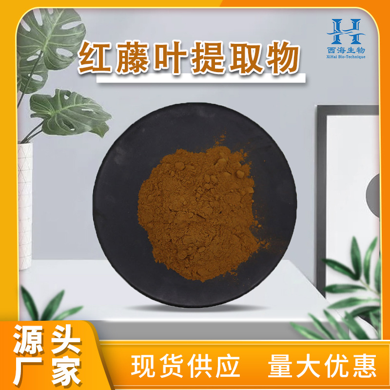 现货多规格红藤叶提取物 量大优惠大血藤红藤叶粉红藤叶提取物